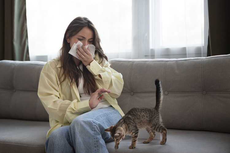 Cat Sneezes Decoded: Signs of Feline Herpes or Chlamydia